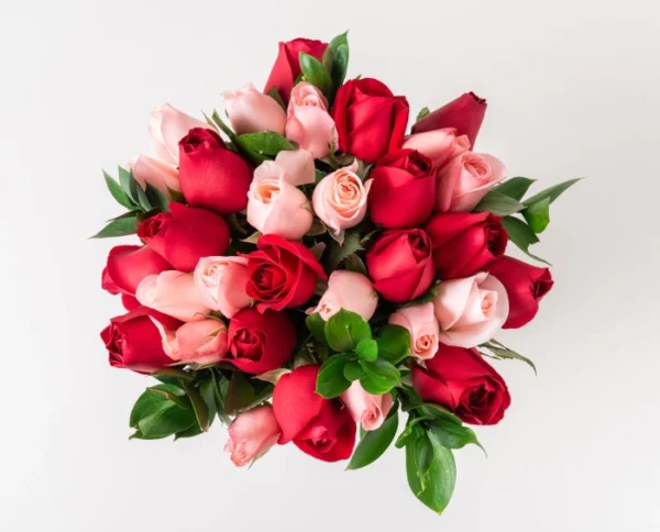 Buquê com 32 Rosas de Duas Cores - Imagem 3