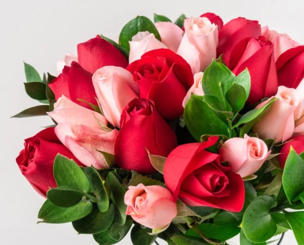 Buquê com 32 Rosas de Duas Cores - Imagem 4