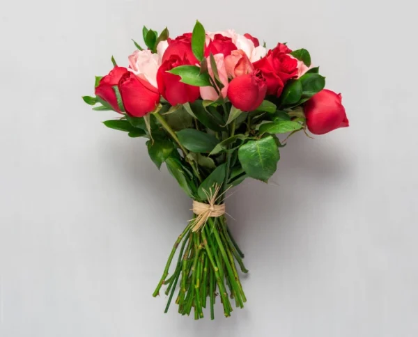 Buquê com 32 Rosas de Duas Cores - Imagem 2