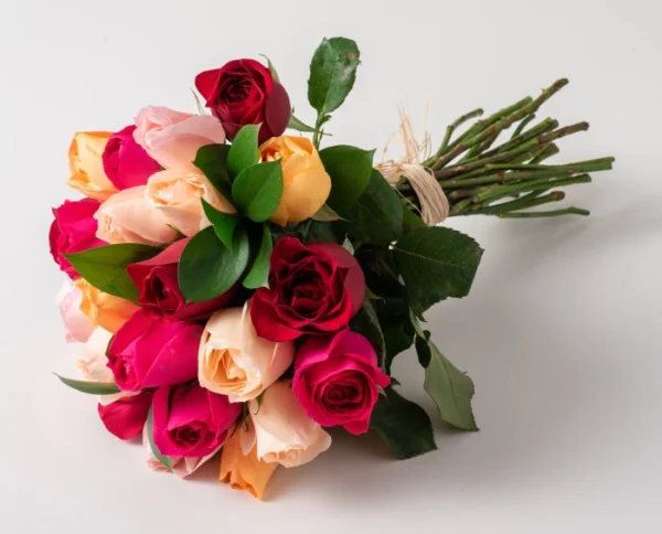 Buquê de 24 Rosas Coloridas - Imagem 2