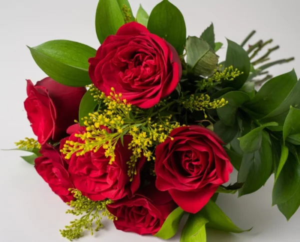 Buquê de 6 Rosas Vermelhas e Pelúcia - Imagem 2