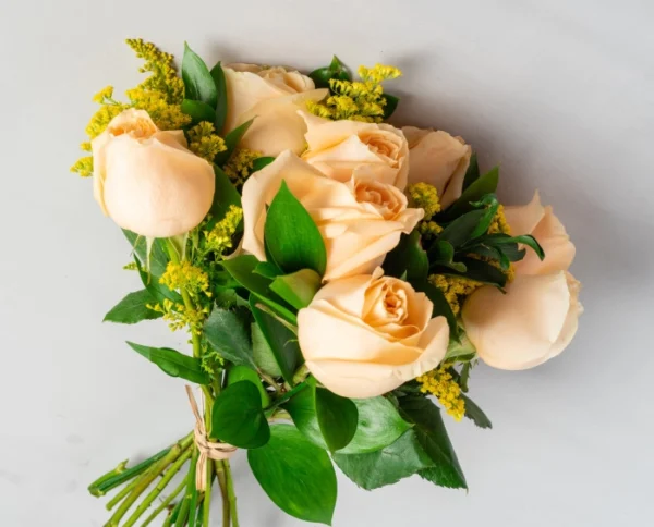 Buquê de 8 Rosas Champagne e Pelúcia - Imagem 2